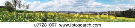 Stock Photo - Meadow scene, panoramic. Fotosearch