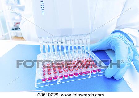 Stock Photo - Microbiologist using micropipettes. Fotosearch