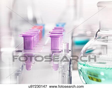 Stock Photo - Microcentrifuge tubes awaiting samples during a analytical experiment in the laboratory. Fotosearch