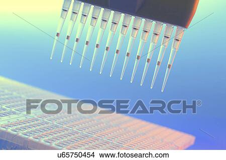 Micropipette tubes View Large Photo Image Picture - Micropipette tubes. Fotosearch