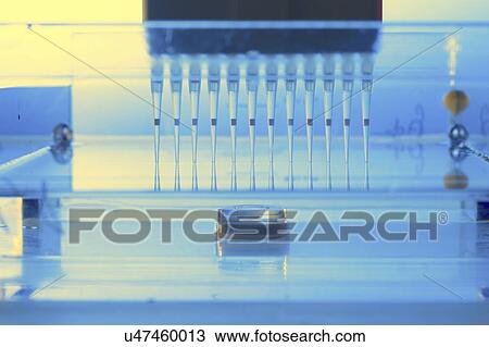 Micropipette tubes View Large Photo Image Stock Image - Micropipette tubes. Fotosearch