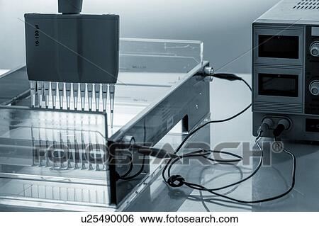 Stock Photograph - Micropipette tubes. Fotosearch
