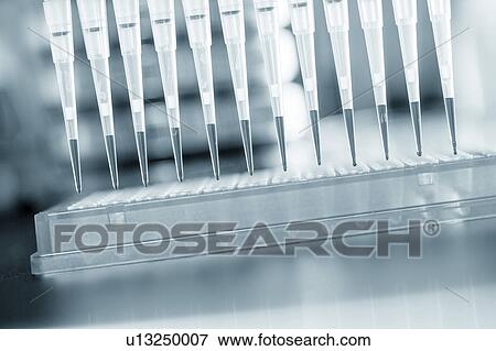 Micropipettes View Large Photo Image Stock Photo - Micropipettes. Fotosearch