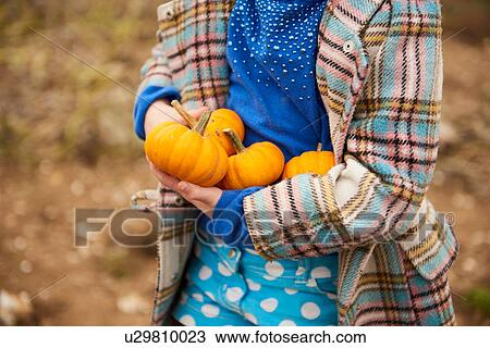 Stock Image - Mid section of girl carrying pumpkins in pumpkin field. Fotosearch