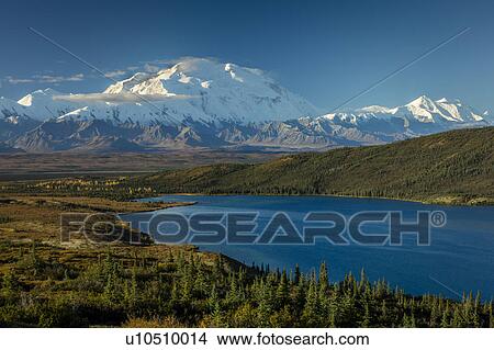 Picture - Mount Denali, previously known as McKinley from Wonder Lake, Denali National Park, Alaska. Fotosearch
