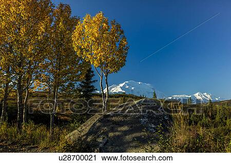 Stock Image - Mount Denali, previously known as McKinley from Wonder Lake, Denali National Park, Alaska. Fotosearch