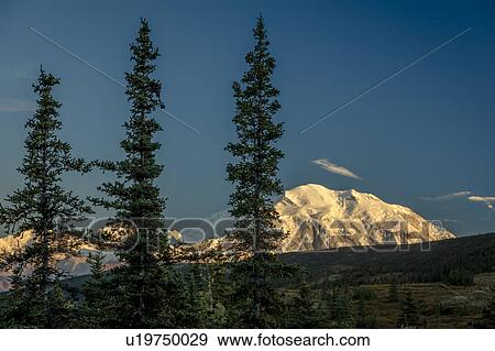 Stock Photo - Mount Denali, previously known as McKinley from Wonder Lake, Denali National Park, Alaska. Fotosearch