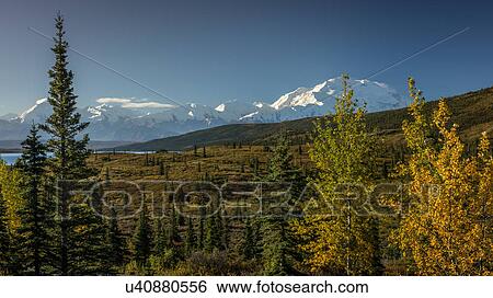 Mount Denali, previously known as McKinley from Wonder Lake, Denali National Park, Alaska View Large Photo Image Stock Photograph - Mount Denali, previously known as McKinley from Wonder Lake, Denali National Park, Alaska. Fotosearch