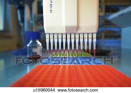 Multipipette View Large Photo Image Picture - Multipipette. Fotosearch