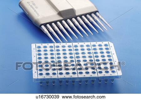 Stock Photo - Multipipettes and multiwell tray. Fotosearch
