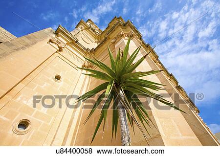Stock Photo - Palm tree outside building, Palmyra, Syria. Fotosearch