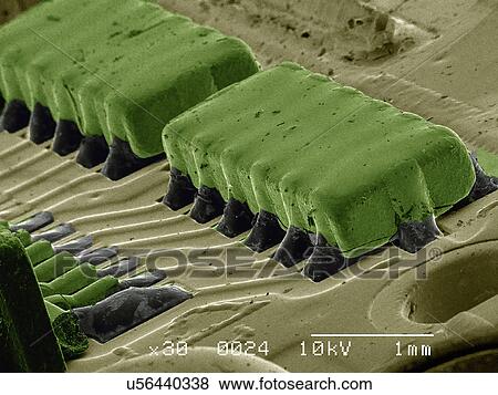 Part of cell phone View Large Photo Image Stock Photo - Part of cell phone. Fotosearch