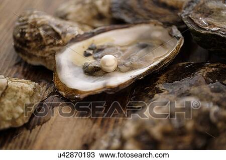 Pearl inside oyster shell View Large Photo Image Stock Image - Pearl inside oyster shell. Fotosearch