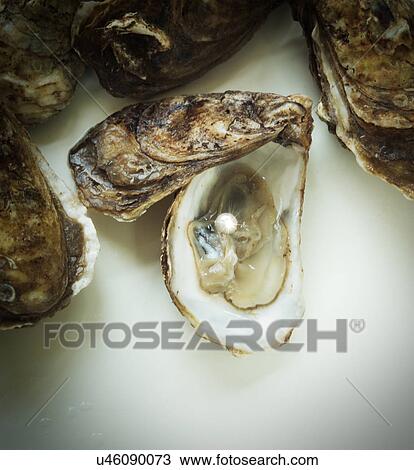 Stock Image - Pearl inside oyster shell. Fotosearch