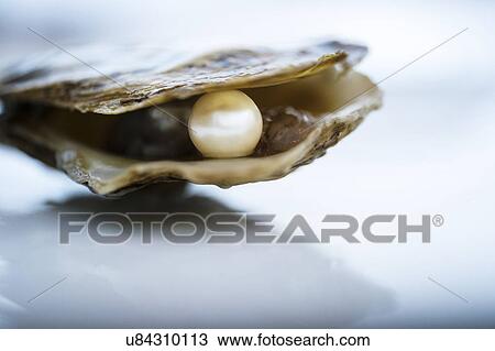 Stock Image - Pearl inside oyster shell. Fotosearch