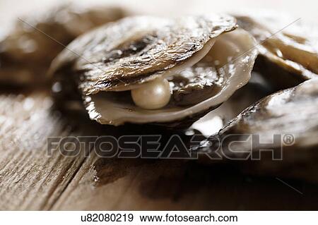 Pearl inside oyster shell View Large Photo Image Stock Photo - Pearl inside oyster shell. Fotosearch