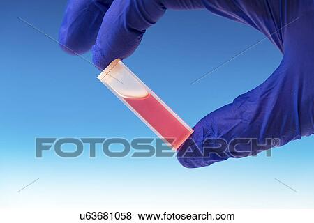 Stock Photo - Person holding a cuvette containing a sample. Fotosearch