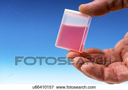 Stock Photo - Person holding a cuvette. Fotosearch