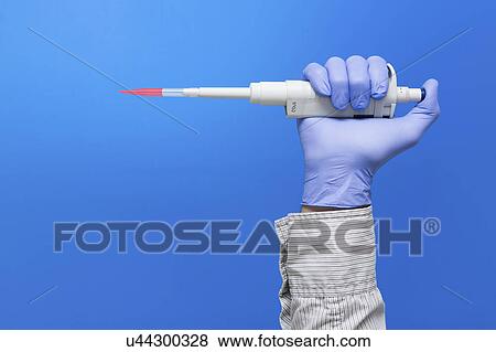 Person wearing latex glove holding pipette View Large Photo Image Stock Photo - Person wearing latex glove holding pipette. Fotosearch