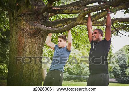 Personal trainer and young man doing pull ups using park tree branch View Large Photo Image Stock Image - Personal trainer and young man doing pull ups using park tree branch. Fotosearch