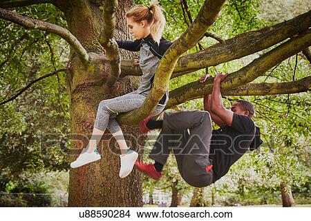 Personal trainer and young woman climbing up park tree View Large Photo Image Picture - Personal trainer and young woman climbing up park tree. Fotosearch