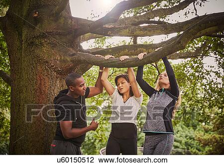 Stock Image - Personal trainer instructing two women on pull ups using park tree branch. Fotosearch