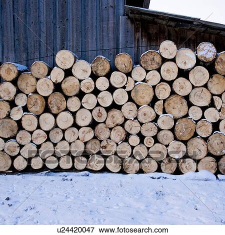 Stock Photo - Pile of cut logs. Fotosearch