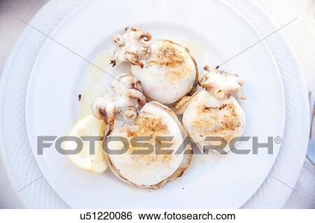 Stock Photograph - Plate of grilled cuttle fish. Fotosearch