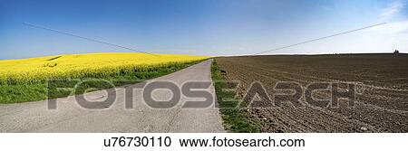 Stock Image - plough and rape field. Fotosearch