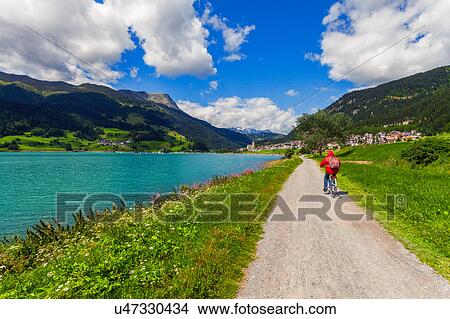 Picture - Rear view of senior man cycling by lake in Vinschgau Valley, South Tyrol, Italy. Fotosearch