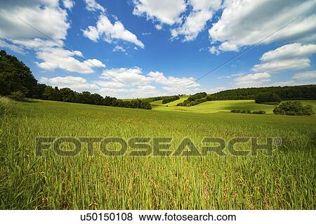Stock Photo - Rural scene. Fotosearch