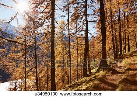 Stock Image - Scenic view, Schnalstal, South Tyrol, Italy. Fotosearch