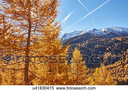 Scenic view, Schnalstal, South Tyrol, Italy View Large Photo Image Stock Image - Scenic view, Schnalstal, South Tyrol, Italy. Fotosearch