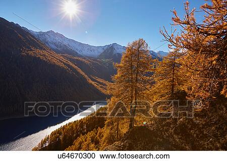 Scenic view, Schnalstal, South Tyrol, Italy View Large Photo Image Stock Image - Scenic view, Schnalstal, South Tyrol, Italy. Fotosearch