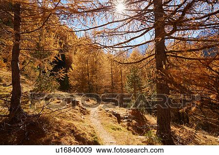Stock Photo - Scenic view, Schnalstal, South Tyrol, Italy. Fotosearch