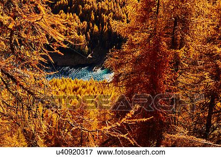 Stock Photo - Scenic view, Schnalstal, South Tyrol, Italy. Fotosearch