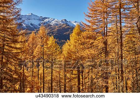 Stock Photo - Scenic view, Schnalstal, South Tyrol, Italy. Fotosearch