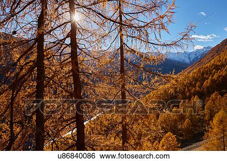 Scenic view, Schnalstal, South Tyrol, Italy View Large Photo Image Stock Photograph - Scenic view, Schnalstal, South Tyrol, Italy. Fotosearch