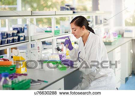 Scientist in laboratory doing experiment View Large Photo Image Stock Photo - Scientist in laboratory doing experiment. Fotosearch