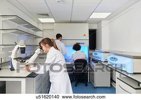 Scientist in laboratory looking through microscope View Large Photo Image Stock Image - Scientist in laboratory looking through microscope. Fotosearch