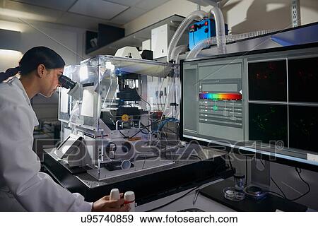 Scientist in laboratory looking through microscope View Large Photo Image Stock Photo - Scientist in laboratory looking through microscope. Fotosearch