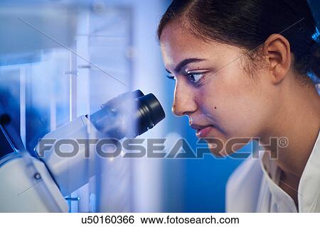 Scientist in laboratory looking through microscope View Large Photo Image Stock Photograph - Scientist in laboratory looking through microscope. Fotosearch