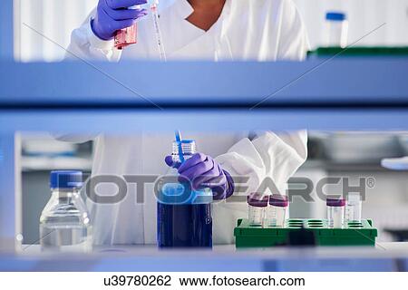 Stock Image - Scientist in laboratory using electronic pipette. Fotosearch