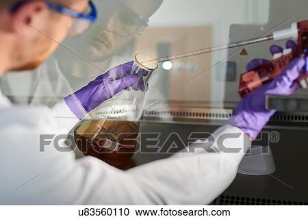 Stock Image - Scientist in laboratory using electronic pipette in conical flask. Fotosearch