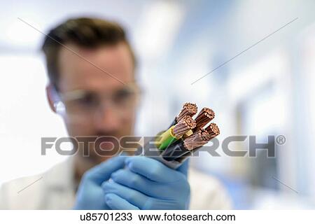 Scientist inspecting electrical cable in cable storage facility View Large Photo Image Stock Image - Scientist inspecting electrical cable in cable storage facility. Fotosearch