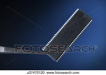 Silicon chip View Large Photo Image Stock Image - Silicon chip. Fotosearch