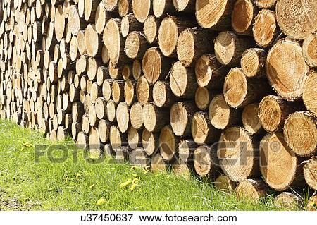 Stock Photo - Stacks of logs. Fotosearch