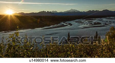 Sunrise on Mnt Denali, Trapper Creek pullout view, Alaska near Mount Denali Lodge View Large Photo Image Picture - Sunrise on Mnt Denali, Trapper Creek pullout view, Alaska near Mount Denali Lodge. Fotosearch