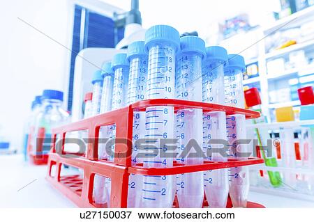 Stock Photo - Test tubes in a rack. Fotosearch