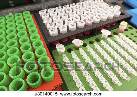 Stock Photography - Test tubes in a rack. Fotosearch